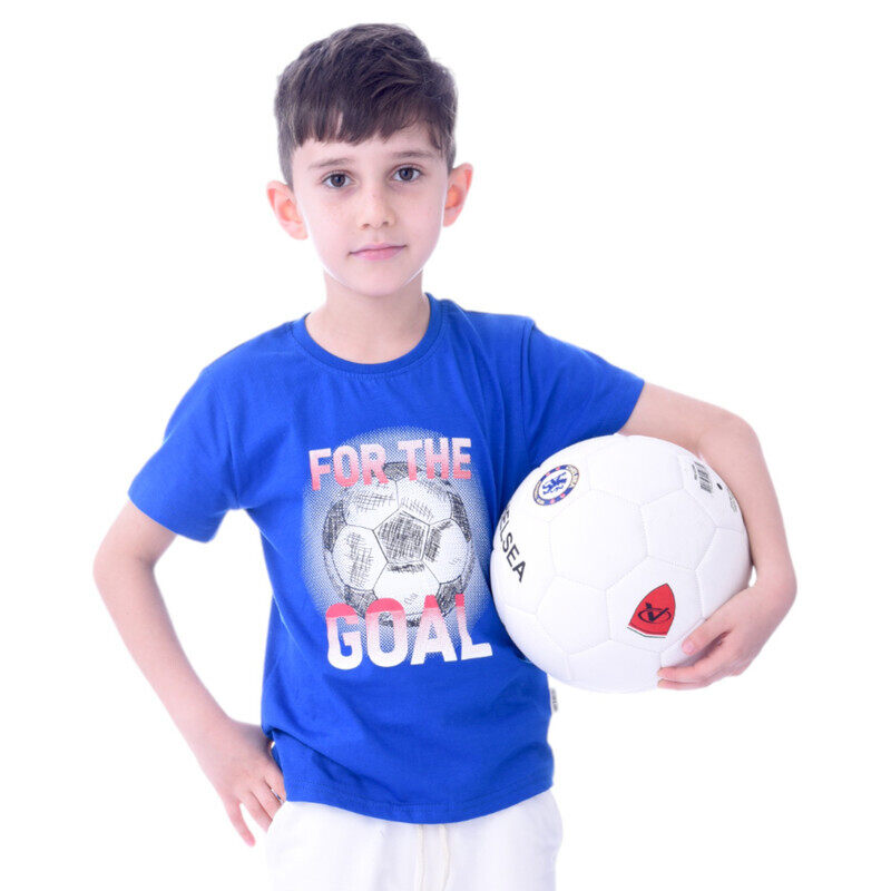 Boys T-Shirts (2-8 Years): Blue colour, (100% Cotton)