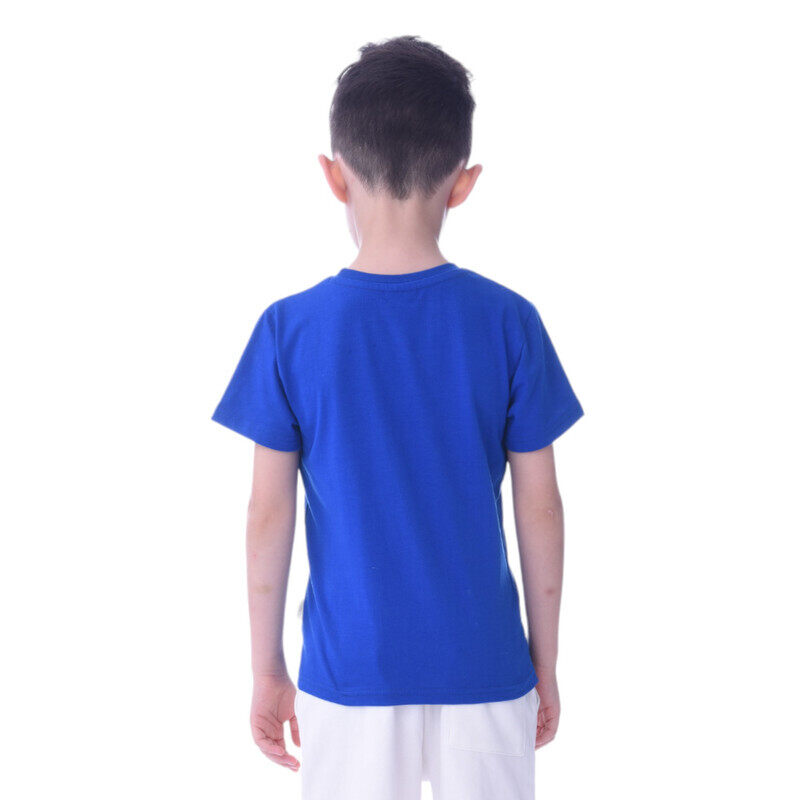 Boys T-Shirts (2-8 Years): Blue colour, (100% Cotton)