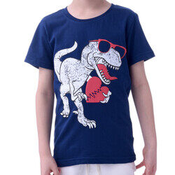 Boys T-Shirts (2-8 Years): Dark Blue colour, (100% Cotton)