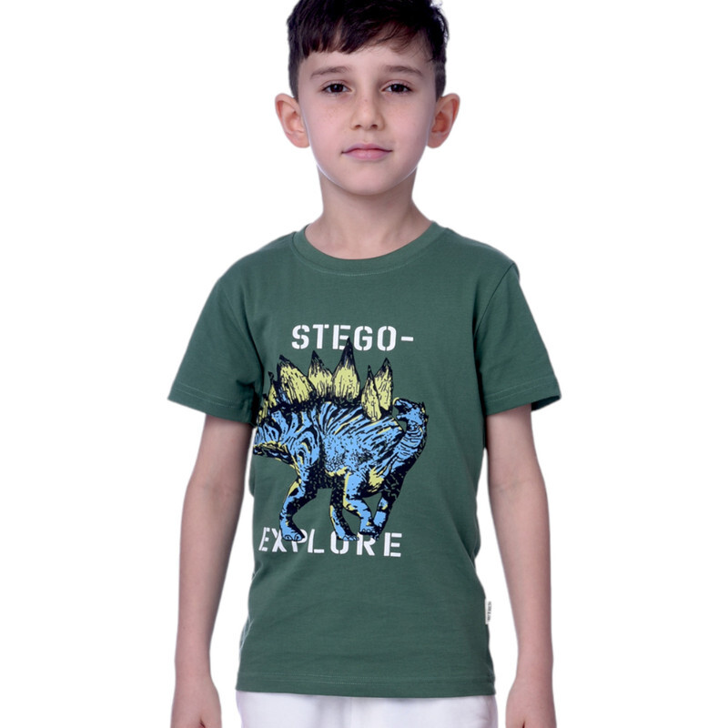 Boys T-Shirts (2-8 Years): Dark Green colour, (100% Cotton)