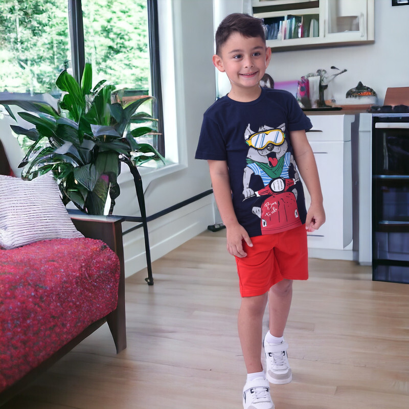 Kids Boys 2 piece Set T-Shirts & Shorts (2-8 Years): Navy Blue and Red colour, Outfits Sets (100% Cotton)