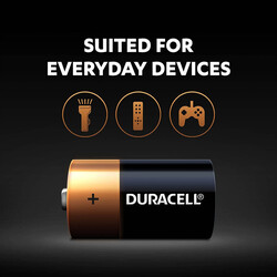 Duracell D2 Long Lasting Power Guaranteed 1.5V Alkaline Batteries