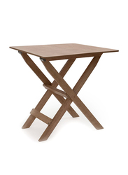 Barebones Ridge Top Wood Folding Table, One Size, Brown