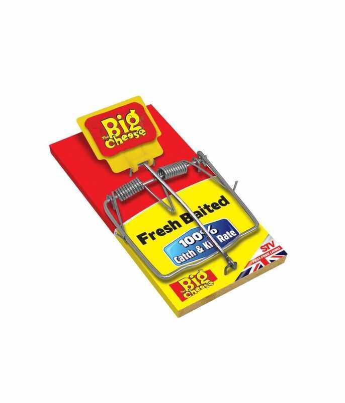 

STV Fresh Baited Rat Trap