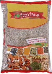 Ferdaus Fennel Seeds 500g