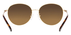 Michael Kors Alpine Sunglasses-MK1119 101484 57