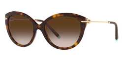Tiffany Cat Eye Havana Sunglasses-TF4187 80153B 55