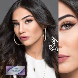 Freshlook Colorblends Grey Monthly 2 Contact Lenses