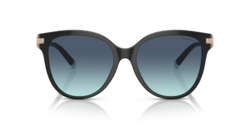 Tiffany Black Butterfly Sunglasses TF4193B 80019S 55