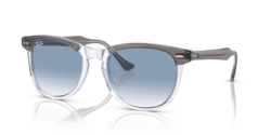 Ray-Ban Eagle Eye Sunglasses -RB2398 1355/3F 53