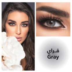 Lens Me 6 Months Disposable Contact Lenses - Gray