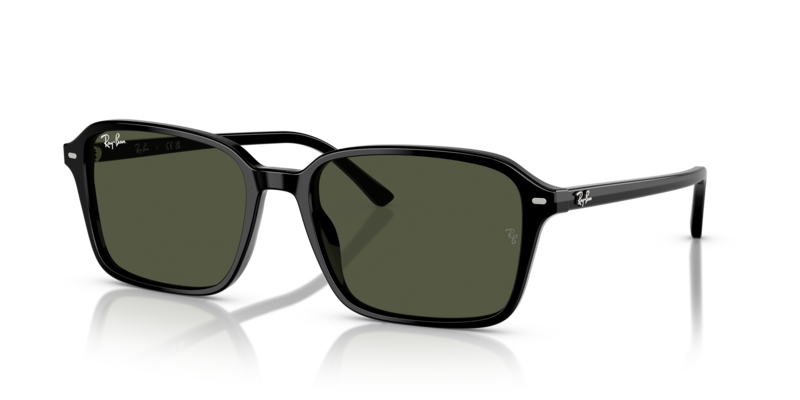

Ray-Ban RB2231 Unisex Sunglasses