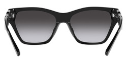 Emporio Armani Cat Eye EA4203U Women's Sunglasses