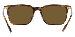 POLO Square Havana Sunglasses-PH4194U 501773 56