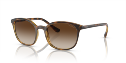 Vogue Dark Havana Sunglasses-VO5051S W65613 52