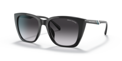 Armani Exchange Gradient Sunglasses-AX4116SU 81588G 53