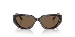 Vogue Dark Havana Sunglasses-VO5438S W65673 52