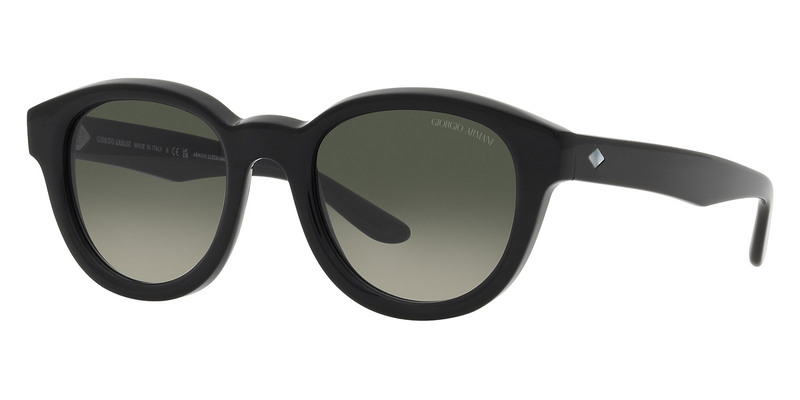 Giorgio Armani Black Sunglasses-AR8181 587571 49