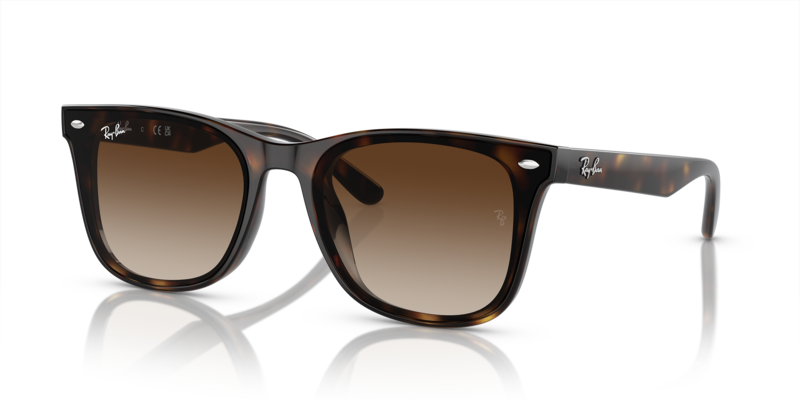 

Ray-Ban RB4420 Unisex Sunglasses