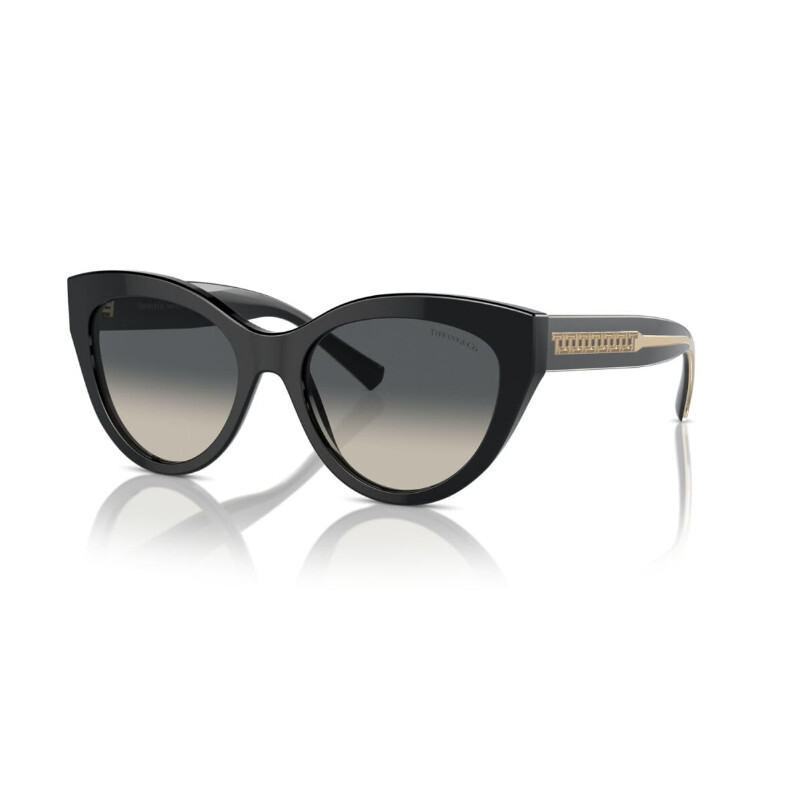 

Tiffany TF4220 Women's Sunglasses