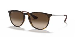 Ray-Ban Erika Sunglasses-RB4171 865/13 54-18