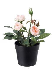 Fejka Artificial Potted Plant, 20cm, Multicolour