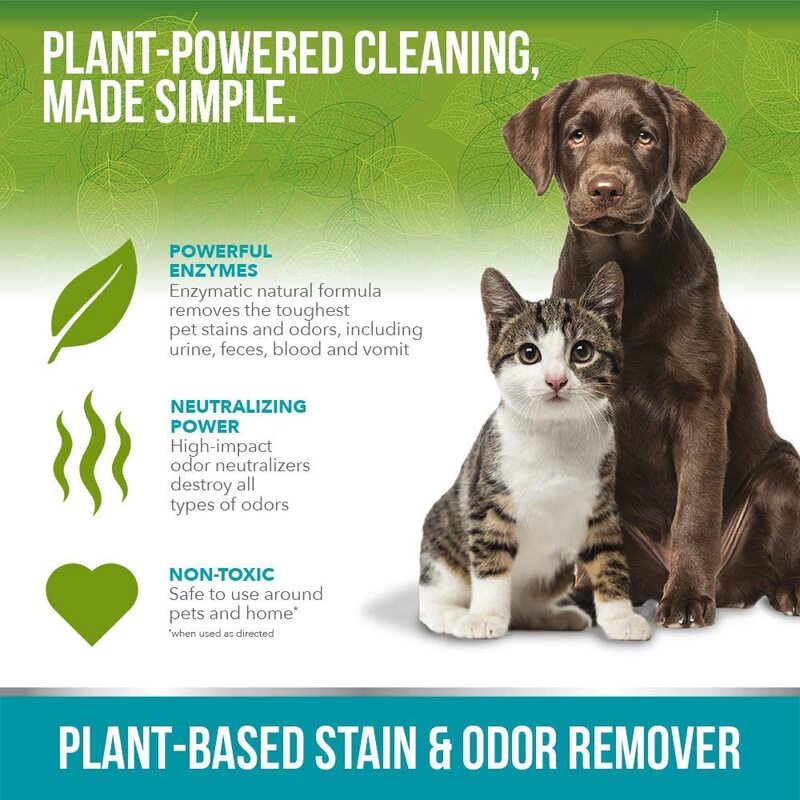 Simple Solution Cats & Dogs Plant-Based Stain and Odor Remover, 32oz, Green/White