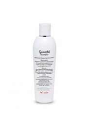 DXN Ganozhi Shampoo with Ganoderma Extract and Vitamin B5, 250ml