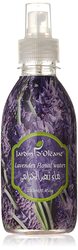 Jardin D’Oleane Lavender Floral Water 250ml