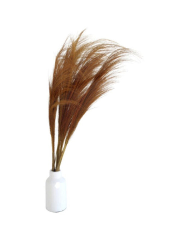 

Generic Alang Deco, Brown