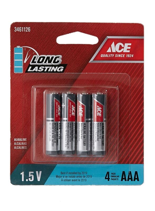 Ace 4-Piece AAA Alkaline Battery Set, Silver/Black