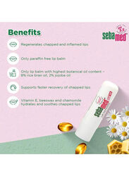 Sebamed Lip Defense SPF 30, 4.8g