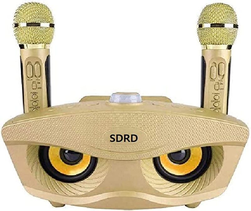 SDRD Portable Wireless Bluetooth Speaker with Two Microphones, Gold