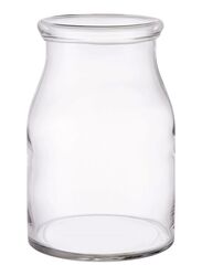 Begarlig Glass Vase, Clear