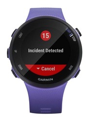 Garmin Forerunner 45S Smartwatch, Iris