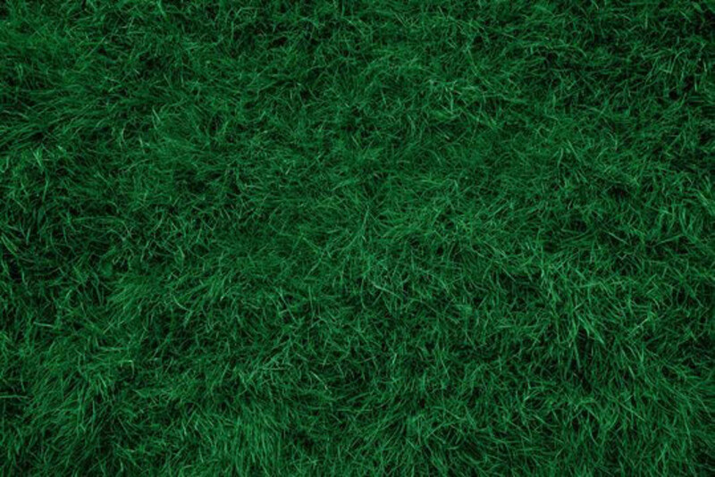 

Modern Floors 40mm Artificial Turf Fake Grass Synthetic Carpet, 2M X 1M, Dark Green