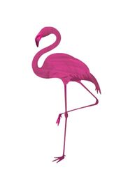 Jardin Flamingo Face Mask Moroccan Mix, 500gm