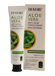 Dr. Rashel Aloe Vera Anti-Acne Pimple Cream, 30gm