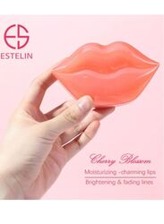 Estelin Sleeping Lip Care Mask, 2x60gm