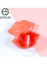 Estelin Sleeping Lip Care Mask, 2x60gm