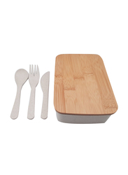 Sustainable Wheat Lunch Box Kit with Spoon, Fork & Knife, 4 Pieces, Multicolour