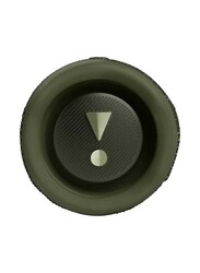 JBL Flip 6 Waterproof Portable Wireless Bluetooth Speaker, Green