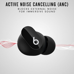 Beats Studio Buds True Wireless In-Ear Noise Cancelling Earbuds with Mic, Black