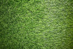 Ex Artificial Grass Carpet, Green, 2.5mm, 200 x 1200cm