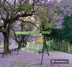 Yulan SW002-0368 Outdoor Patio Swing Chair, Green