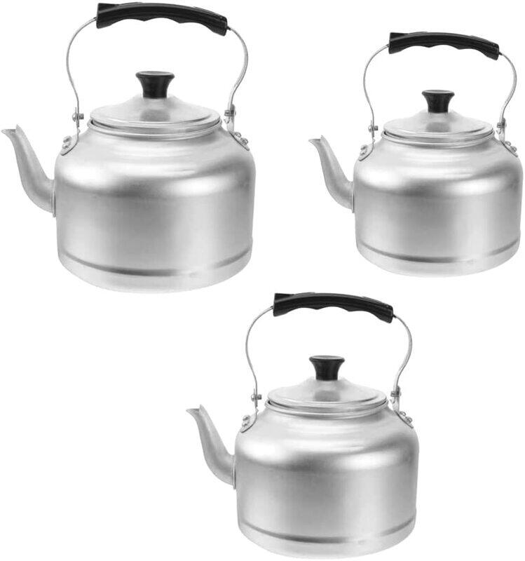 

Selecto 3-Piece Tea Kettle, Silver