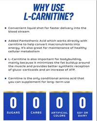 Ronnie Coleman Signature Series L-Carnitine XS 3000 Liquid, 16 Oz, Blue Raspberry