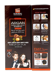 Nitro Canada Argan Speedy Hair Color Shampoo, 420ml, Natural Brown