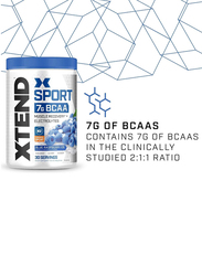 Xtend Sport Bcaa Powder, 345gm, Blue Raspberry Ice