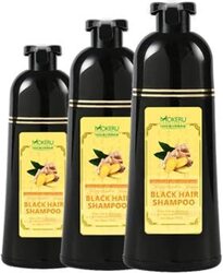 Disaar Hair Dye Shampoo, 3 x 500ml, Black